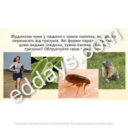 Біологія і екологія. 11 клас. Форми паразитизму